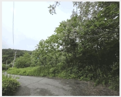  2025Ÿ��51125 ���� ���ȱ� ������ �ջ긮 357-3      ����(��1)���