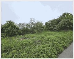  2025Ÿ��51125 ���� ���ȱ� ������ �ջ긮 357-3      ����(��1)���