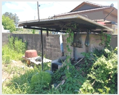  2025Ÿ��51176  �����