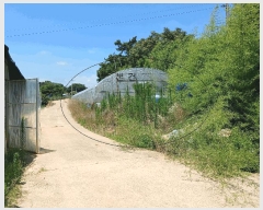  2025Ÿ��51176  �����