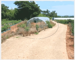  2025Ÿ��51176  �����