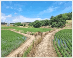  2025Ÿ��51183 ���� ���ȱ� û��� ������ 271-5      ����(��)���