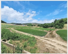  2025Ÿ��51183 ���� ���ȱ� û��� ������ 271-5      ����(��)���