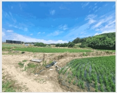  2025Ÿ��51183 ���� ���ȱ� û��� ������ 271-5      ����(��)���