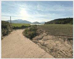  2025Ÿ��51200  �������