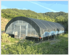  2025Ÿ��51200  �������