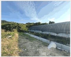  2025Ÿ��51200  �������