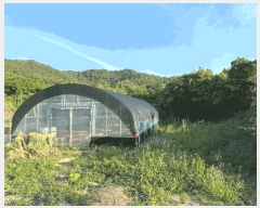  2025Ÿ��51200  �������