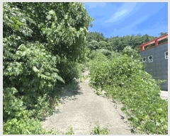  2025Ÿ��51215 ���� ���� ���߸� ������ 145-4      �����,��쳪,��������