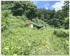  2025Ÿ��51215 ���� ���� ���߸� ������ 145-4      �����,��쳪,��������