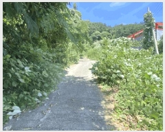  2025Ÿ��51215 ���� ���� ���߸� ������ 145-4      �����,��쳪,��������