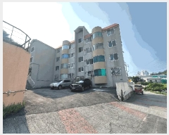  2025Ÿ��51224  �ټ���(����)���