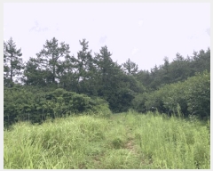  2025Ÿ��51271 ���� �žȱ� ������ ���渮 ��144      ����(�Ӿ�)���