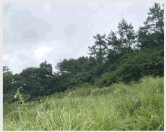  2025Ÿ��51271 ���� �žȱ� ������ ���渮 ��144      ����(�Ӿ�)���