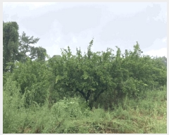  2025Ÿ��51271 ���� �žȱ� ������ ���渮 ��144      ����(�Ӿ�)���