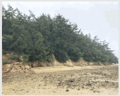  2025Ÿ��51271 ���� �žȱ� ������ ���渮 ��144      ����(�Ӿ�)���