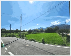  2025Ÿ��51338 ���� ���ϱ� ������ ���긮 321-1      ����(��)���