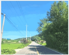  2025Ÿ��51338 ���� ���ϱ� ������ ���긮 321-1      ����(��)���