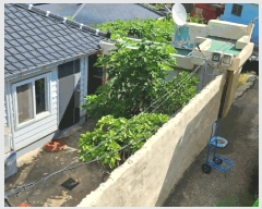  2025Ÿ��51345  ���ð��