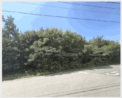  2025Ÿ��51379  ����