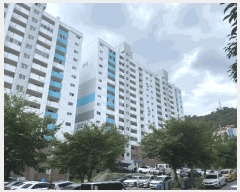  2025Ÿ��51387  ����Ʈ���