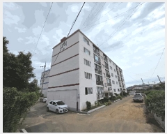  2025Ÿ��51453  ����Ʈ���