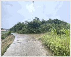  2025Ÿ��51491 ���� �žȱ� ���¸� �Ұ 627      ����(����)���