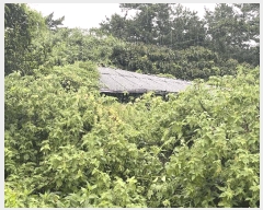  2025Ÿ��51491 ���� �žȱ� ���¸� �Ұ 596-3      ����(��1)���