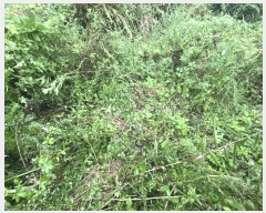  2025Ÿ��51491 ���� �žȱ� ���¸� �Ұ 596-3      ����(��1)���