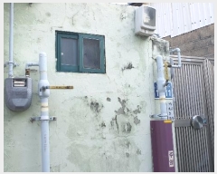  2025Ÿ52   絿 196-94       ð