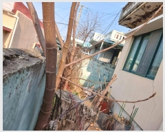  2025Ÿ52   絿 196-94       ð