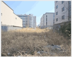  2025Ÿ333   ϵ 1237-6       ()