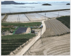  2025Ÿ��352 ���� �žȱ� ���� ������ 347-9      ����(��1)���