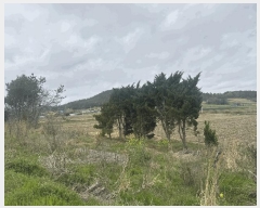  2025Ÿ��352 ���� �žȱ� ���¸� �ڶ� 356      ����(��1)���