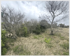  2025Ÿ��352 ���� �žȱ� ���¸� �ڶ� 356      ����(��1)���