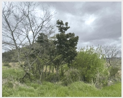  2025Ÿ��352  �����