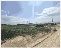  2025Ÿ��352  �����