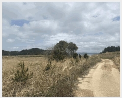  2025Ÿ��352  �����