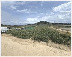  2025Ÿ��352  �����