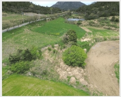  2025Ÿ��352  �����