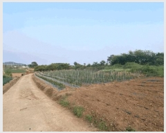  2025Ÿ��381 ���� ���ȱ� �Ϸ��� ������ 586-12      ����(��1)���