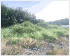  2025Ÿ��381 ���� ���ȱ� �Ϸ��� ������ 586-12      ����(��1)���