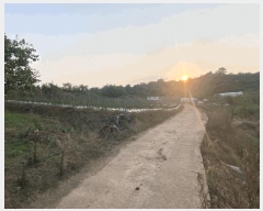  2025Ÿ��381 ���� ���ȱ� �Ϸ��� ������ 586-12      ����(��1)���