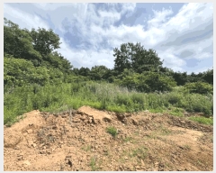  2025Ÿ��417  �����