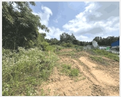  2025Ÿ��417  �����