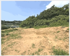  2025Ÿ��417  �����