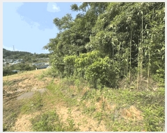  2025Ÿ��417  �����