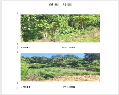  2025Ÿ��417  �����