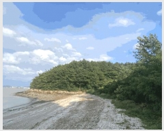  2025Ÿ��446  �����