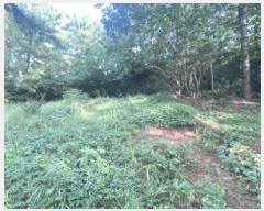  2025Ÿ��446  �����